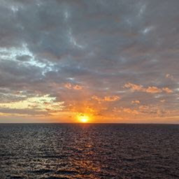 Meet your Posher, Brian - Picture 1 of 1